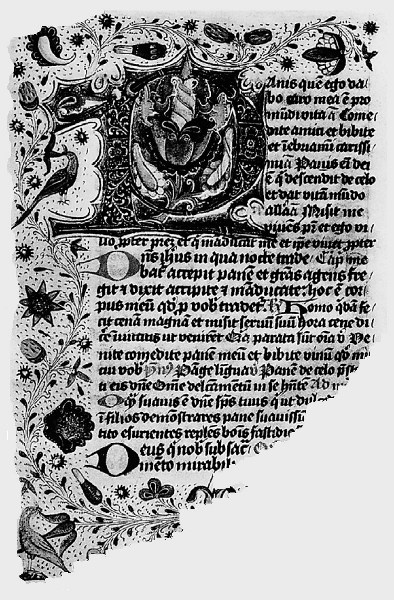A partial page of a mideval manuscript